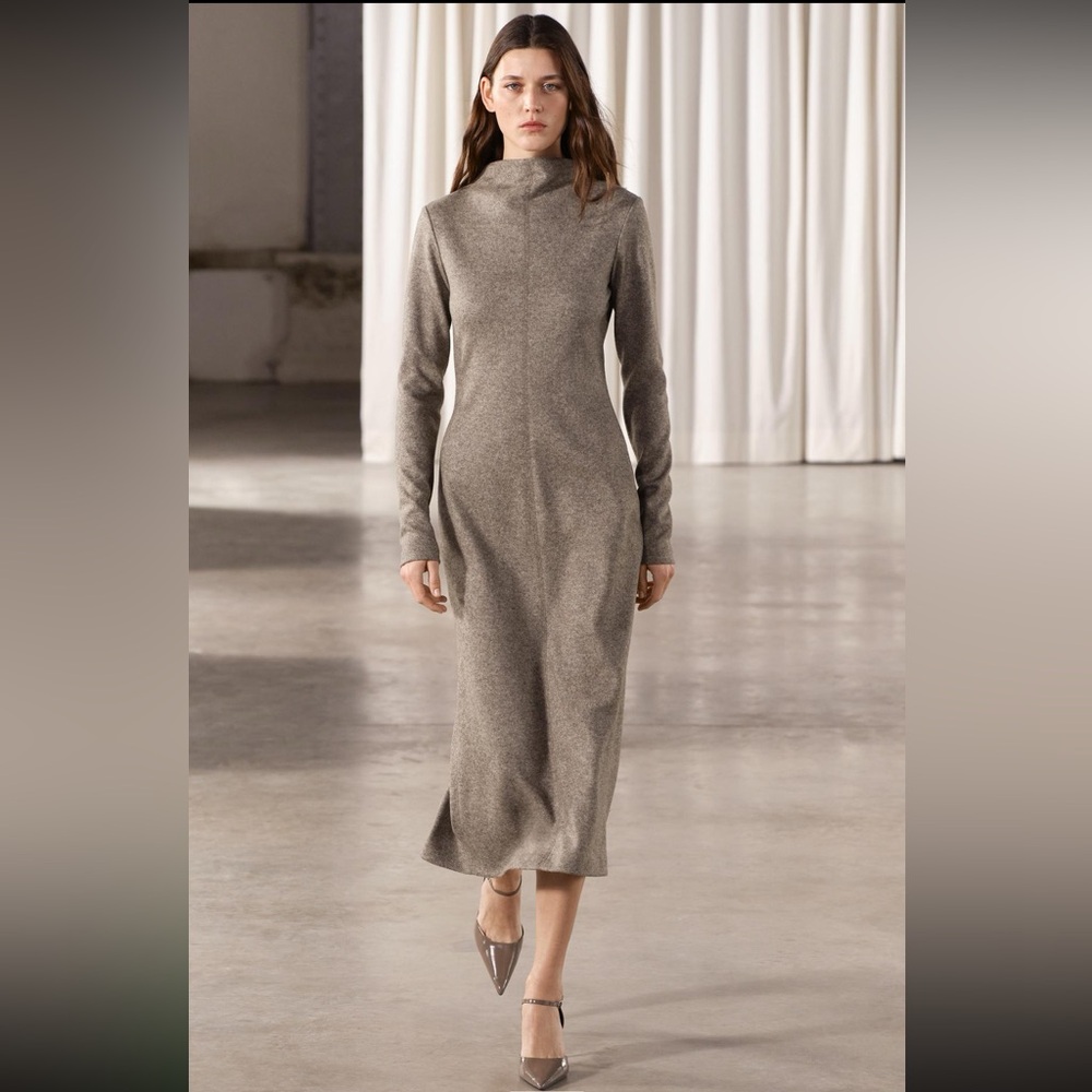 Zara ZW Wool Blend Dress